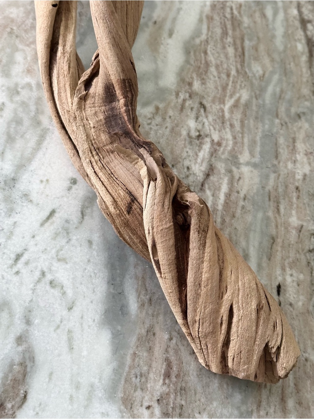 Large Natural Driftwood Branch - Coastal Beach Decor - Picture 13 of 17